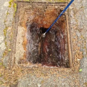 Tree root blockage in South London causing overflowing manhole