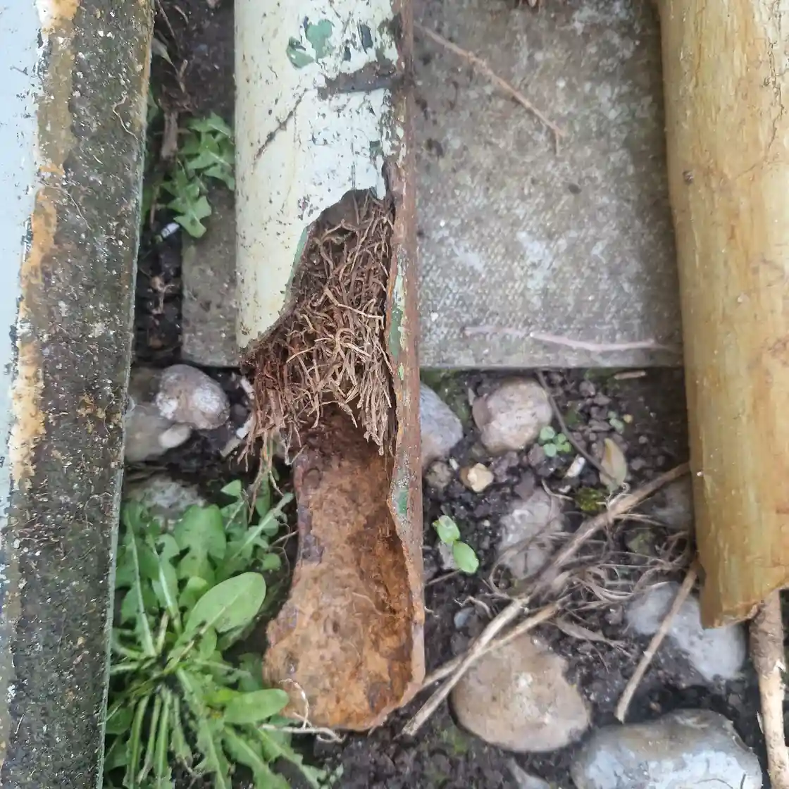 CCTV drain survey camera being deployed for blocked drain Sutton investigation