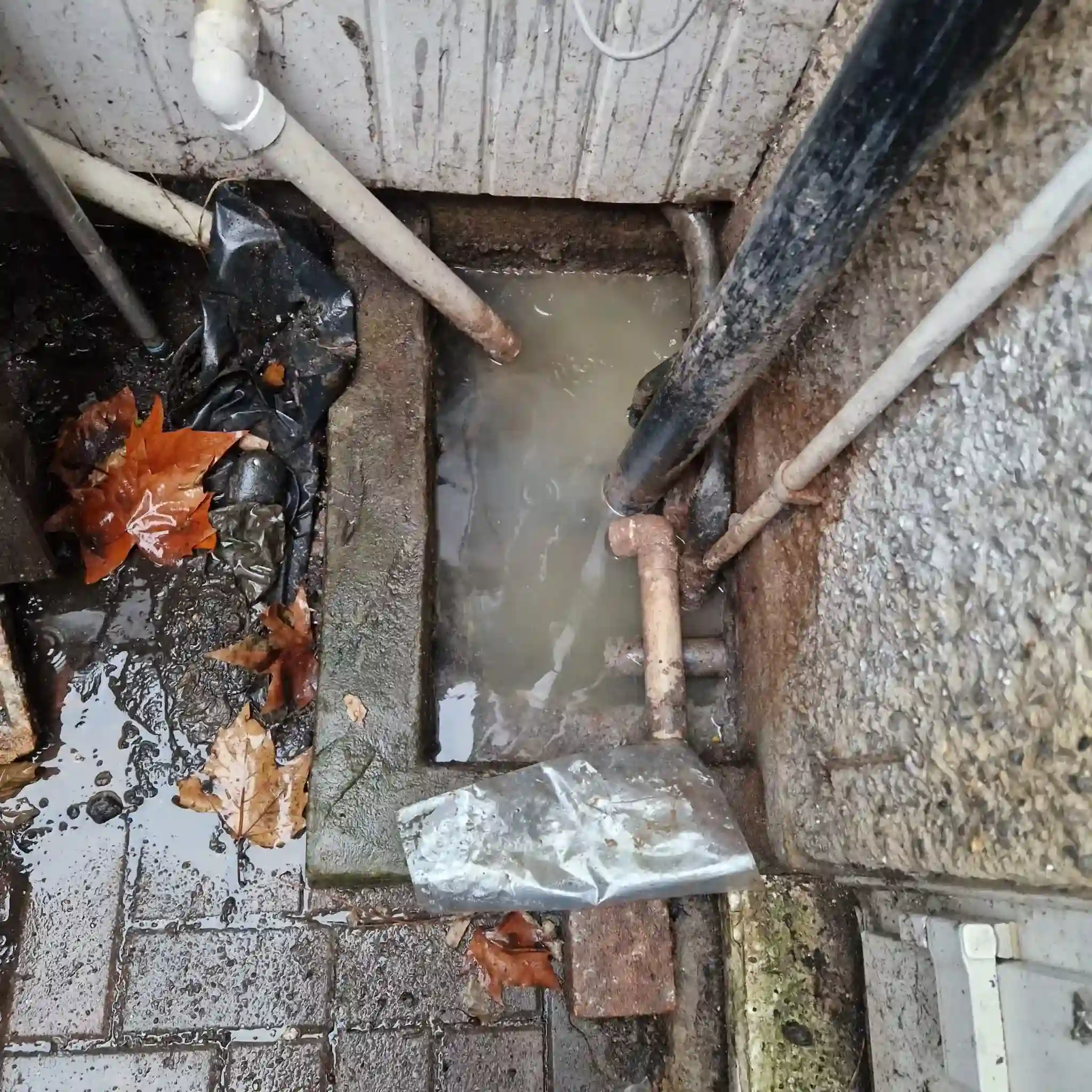 Engineer inspecting a CCTV drain survey monitor on site at a Croydon home to locate a pipe blockage
