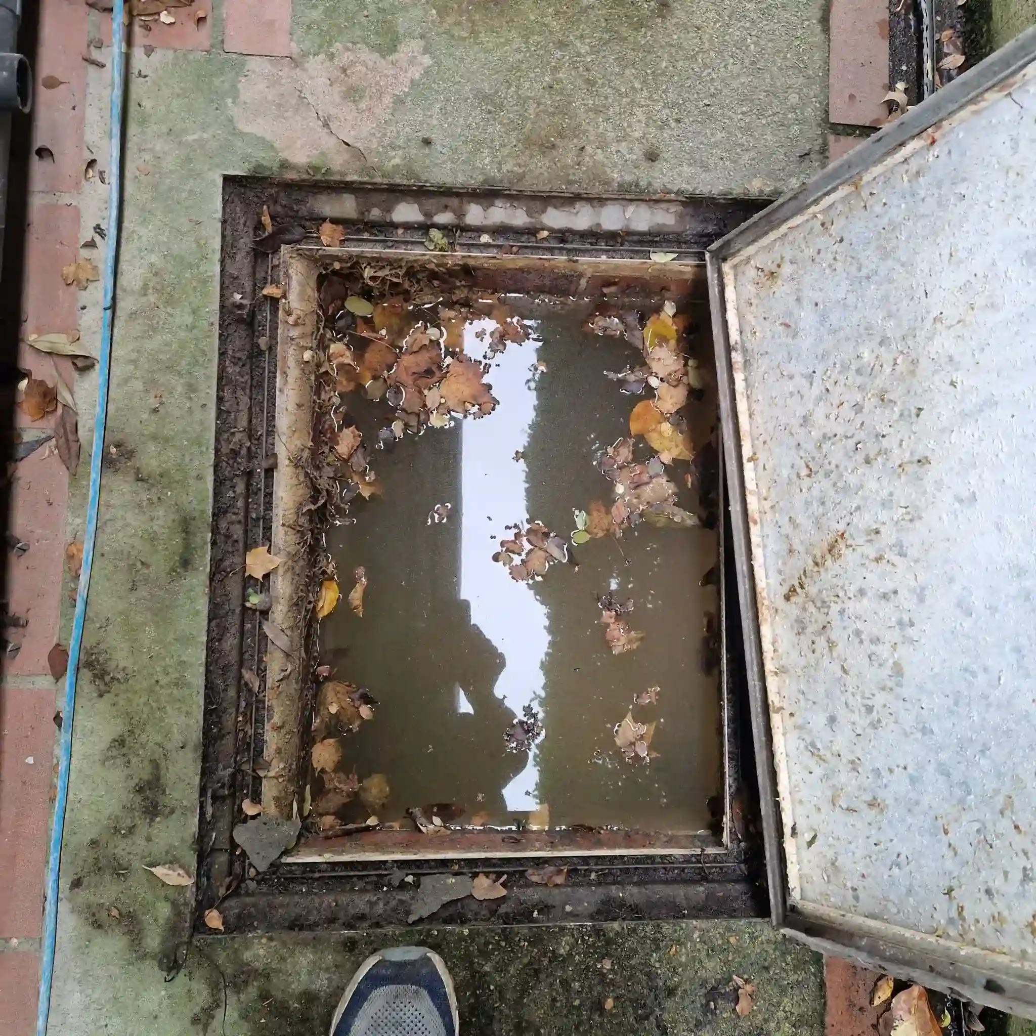Drainage engineer inspecting a clay pipe showing root intrusion and limescale build-up in a Croydon property