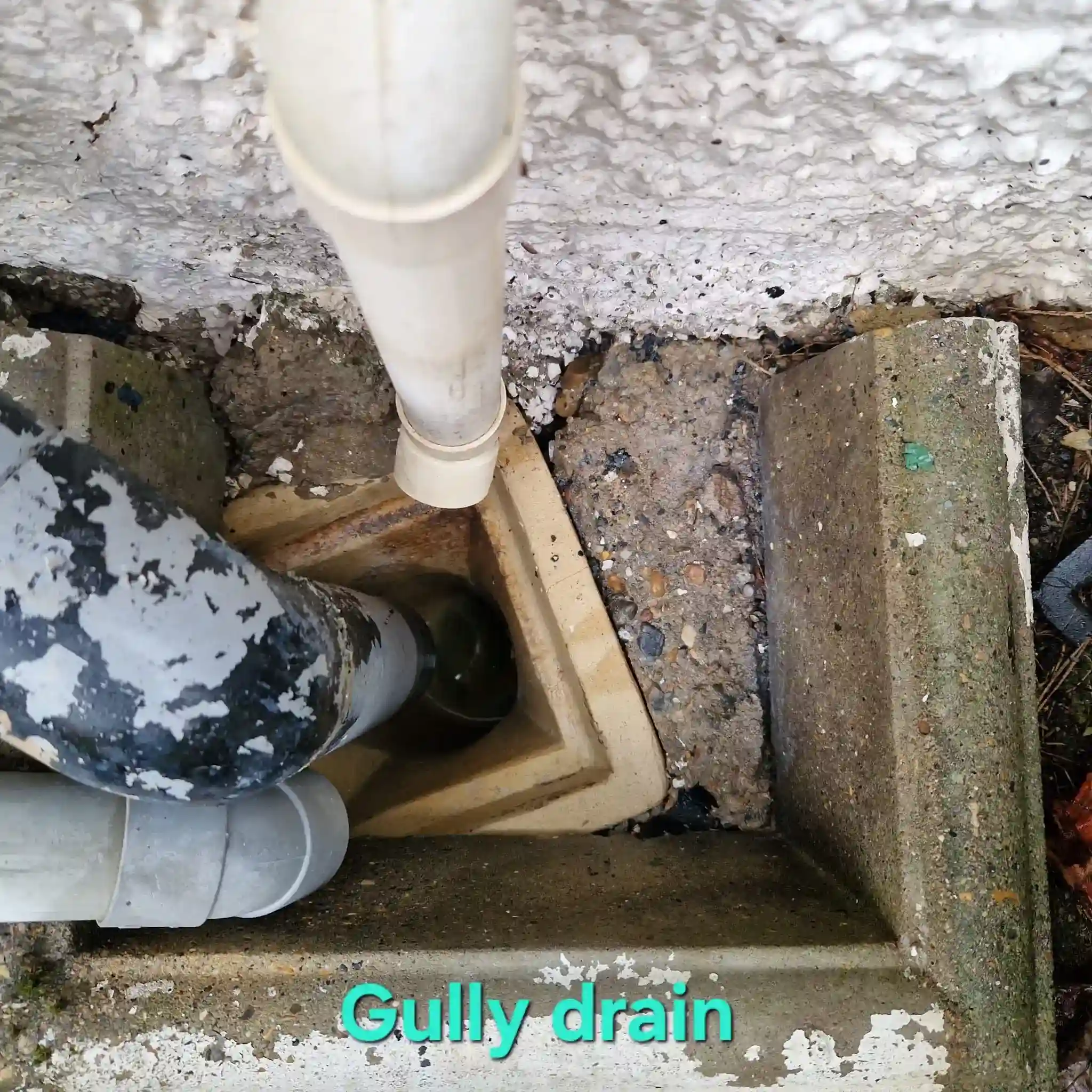 CCTV drain inspection camera identifying drain fly breeding sites