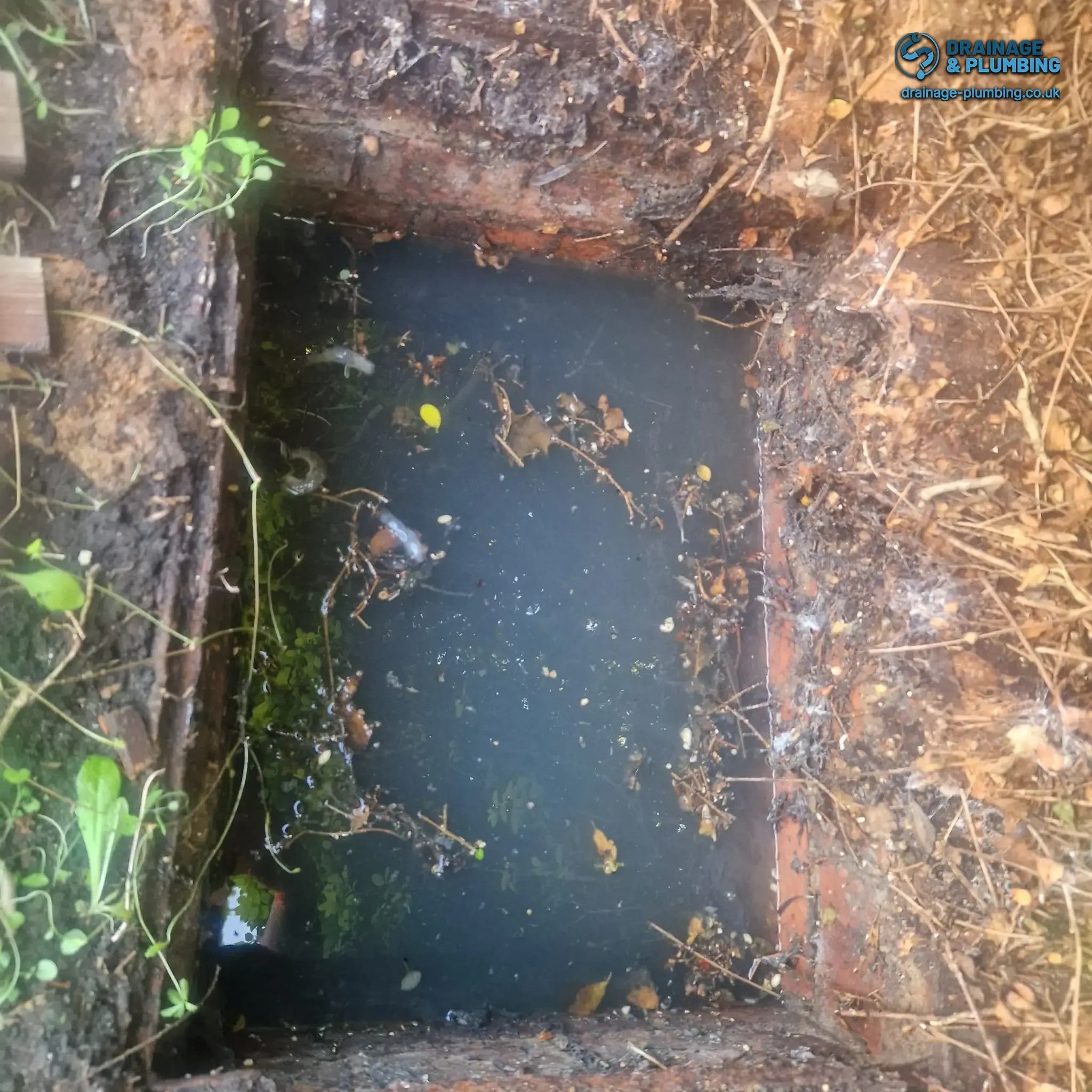 Common Drainage Problems: The Truth Homeowners Get Wrong 6 Drainage engineer inspecting an inspection chamber with a CCTV drain camera in a residential garden