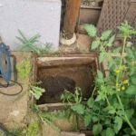 Soakaway Installation Cost: Real UK Prices (2026 Guide)