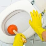 Rats in Drains: Why 4 in 5 UK Infestations Start Underground