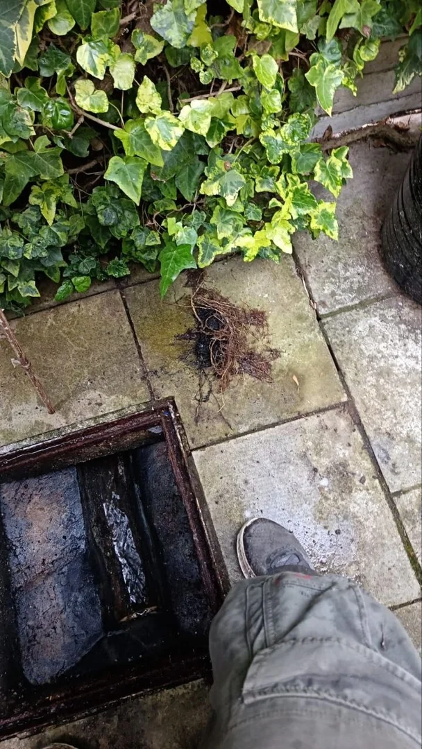 drainage problems England — shop-bought chemical unblocker beside a slow-draining kitchen sink in a South East England home