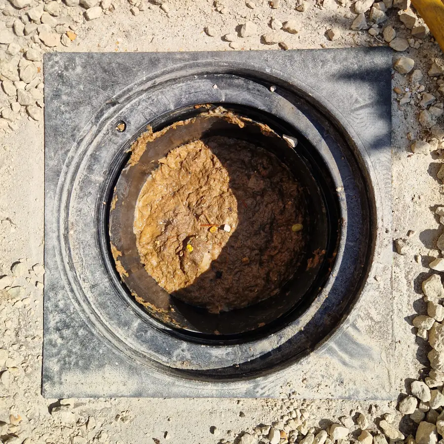 Plastic inspection chamber with the cover lifted, packed with congealed fat and grey sludge sitting over standing water