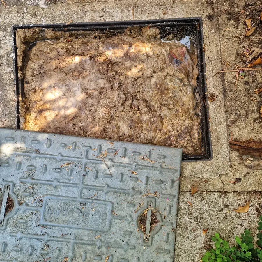 Outdoor drain chamber packed solid with congealed cooking fat and grease before we cleared it