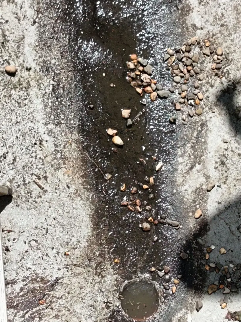 Tree Root Drain Damage: 5 Signs vs Silent Failure 6 Tree root mass removed from a blocked clay drain pipe during a South East England drain clearance