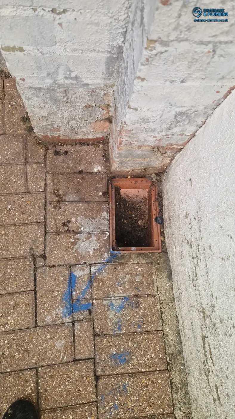 Drain Unblocking in Bromley: Fat and Grease Blockage Cleared 4 Drain dye test at an outside gully after clearing a blockage in Bromley