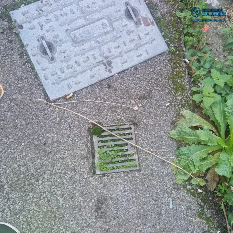 Sutton Gully Cleaning: Historic Data and 4 Essential Checks