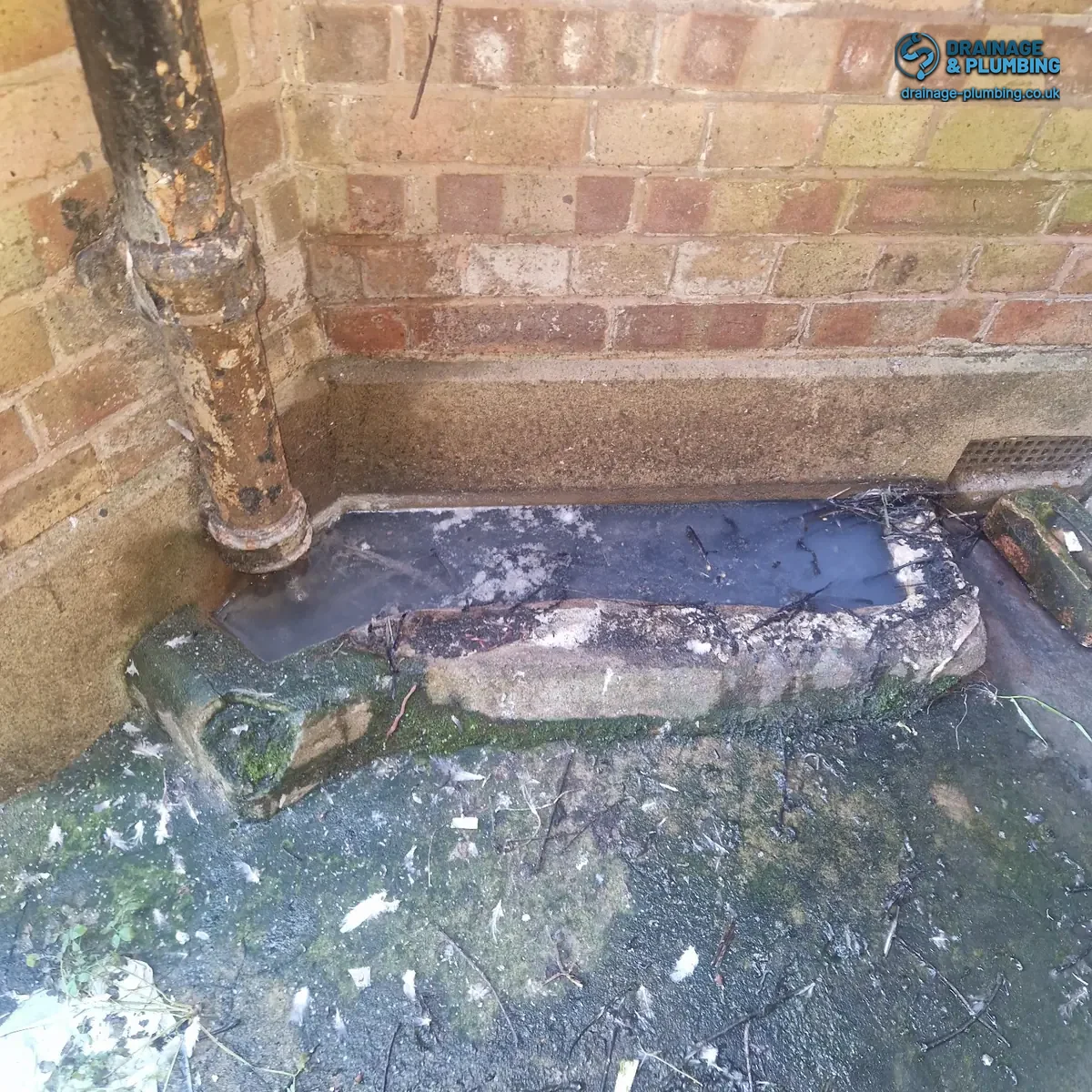 Standing water in an outside drainage channel at a block of flats in Sutton